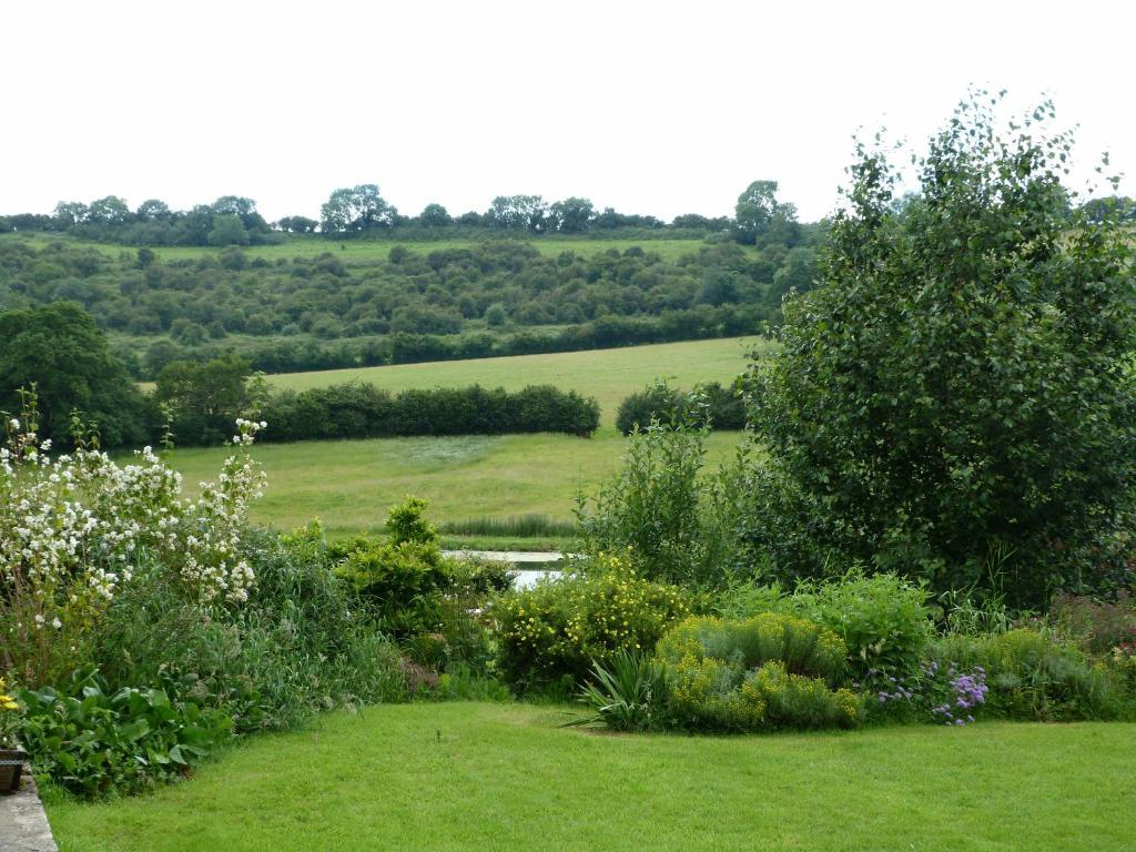 Cameley Lodge - Self Catering Temple Cloud Екстериор снимка